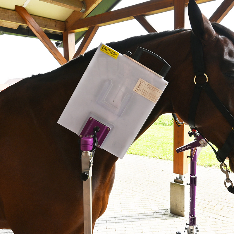 Modulært positioneringssystem til heste, eksempel 1